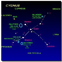 Le Cygne - (Cygnus [Cyg])